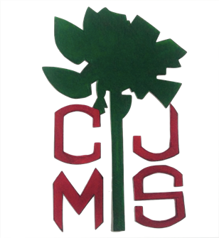 The Moriche Palm, indigenous to the forest of Tamana, a reminder of the strength of the UTT.